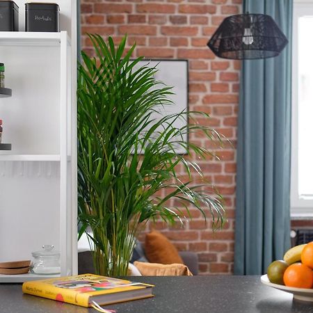 Mikroklimatyczny Apartament Dla 4 Osob - Blisko Szlakow, W Centrum Шклярска-Поремба Экстерьер фото